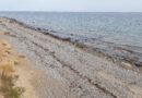 Die Ostsee